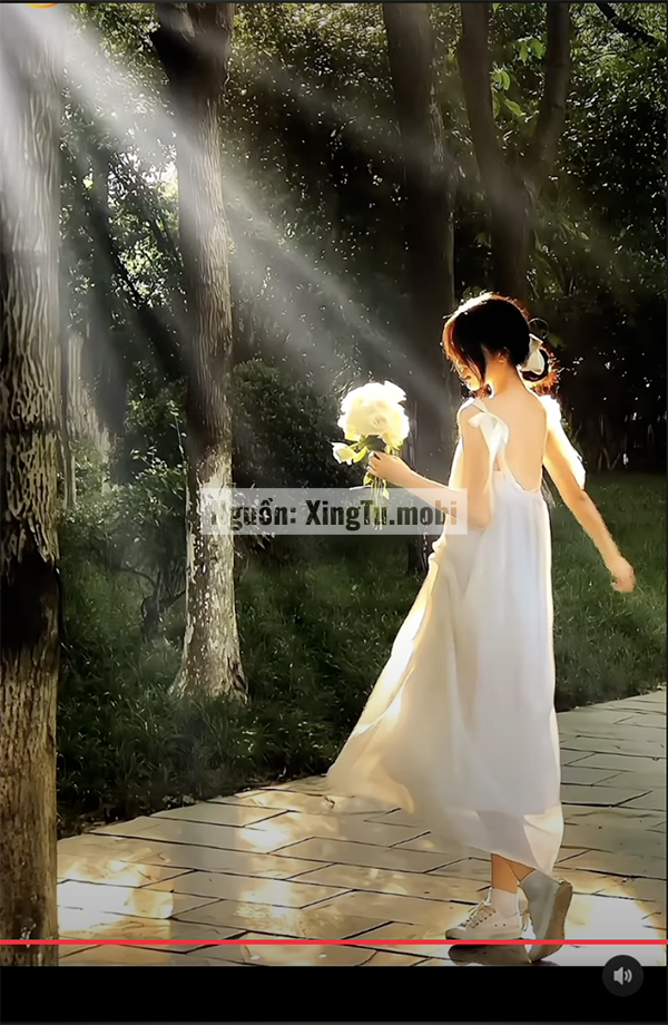 Kết quả Sử dụng bộ lọc (Filter) có sẵn